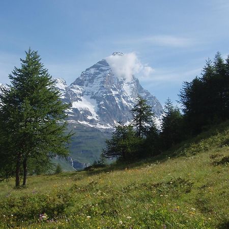 B&B A Pankeo Valtournenche Exteriér fotografie