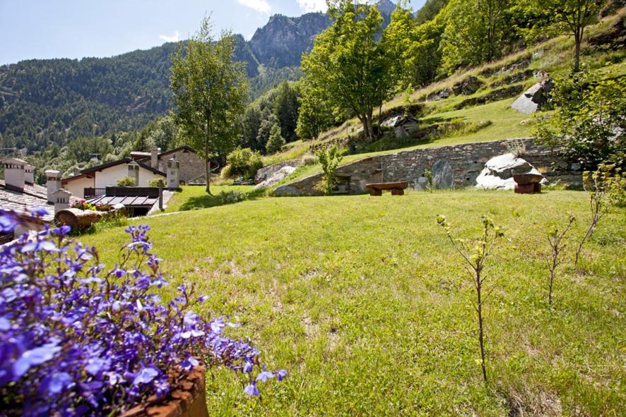 B&B A Pankeo Valtournenche Exteriér fotografie